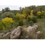 Ukr-Nature-066.jpg
