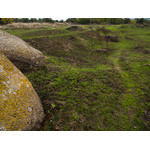 Ukr-Nature-068.jpg