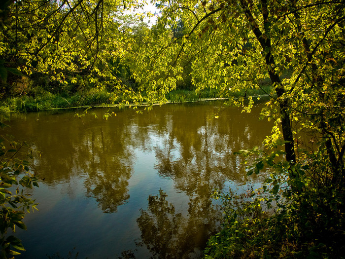 Ukr-river-002.jpg