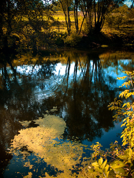 Ukr-river-003.jpg