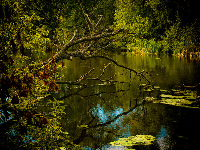 Ukr-river-008.jpg