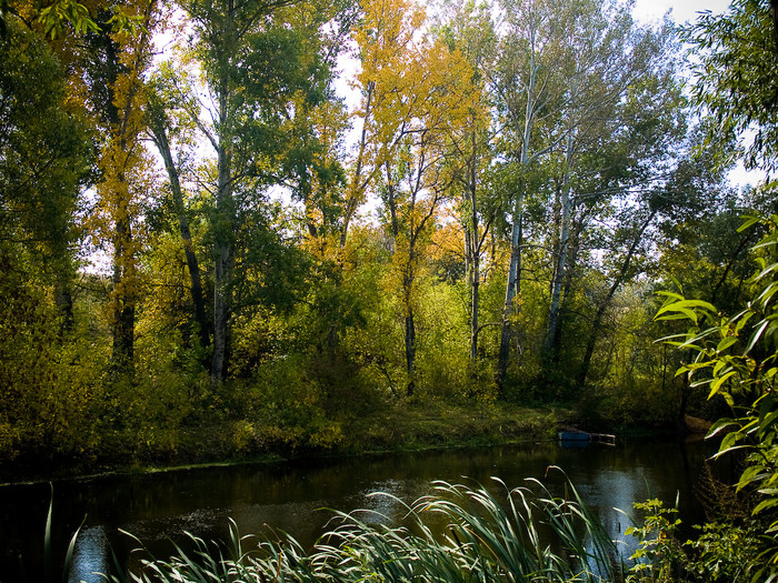 Ukr-river-009.jpg