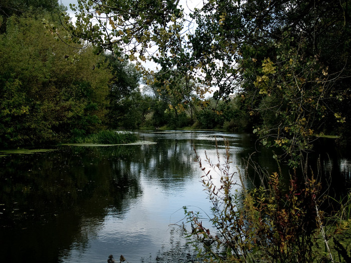 Ukr-river-018.jpg