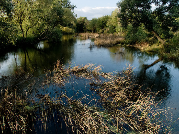 Ukr-river-028.jpg