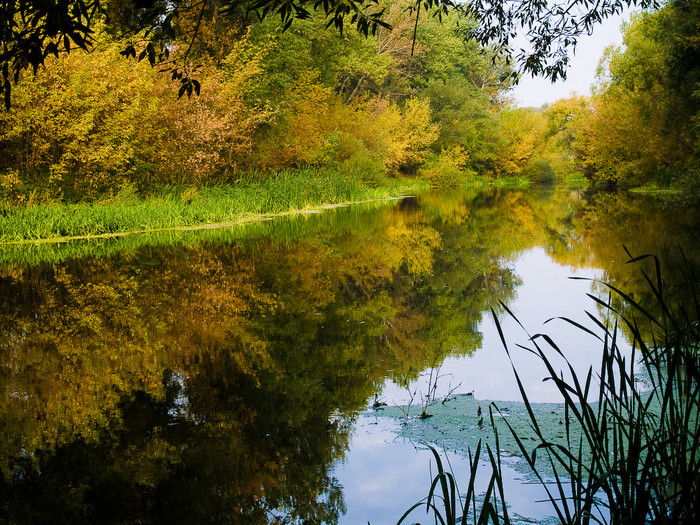 Ukr-river-034.jpg