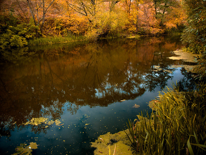 Ukr-river-035.jpg