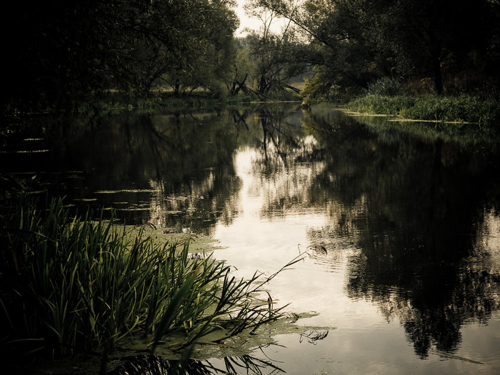 Ukr-river-036.jpg