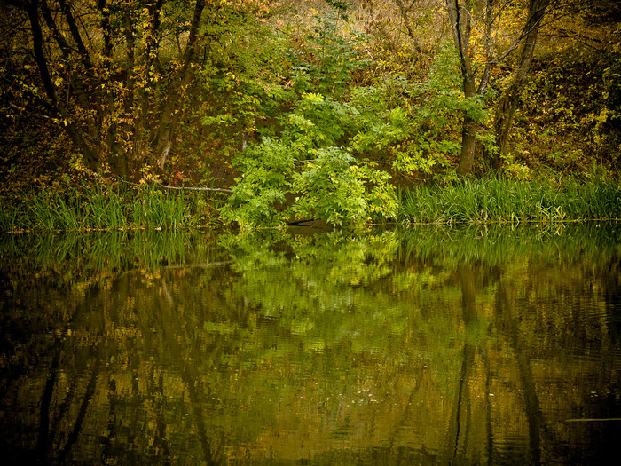 Ukr-river-037.jpg