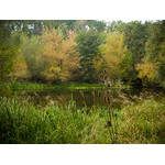 Ukr-river-038.jpg