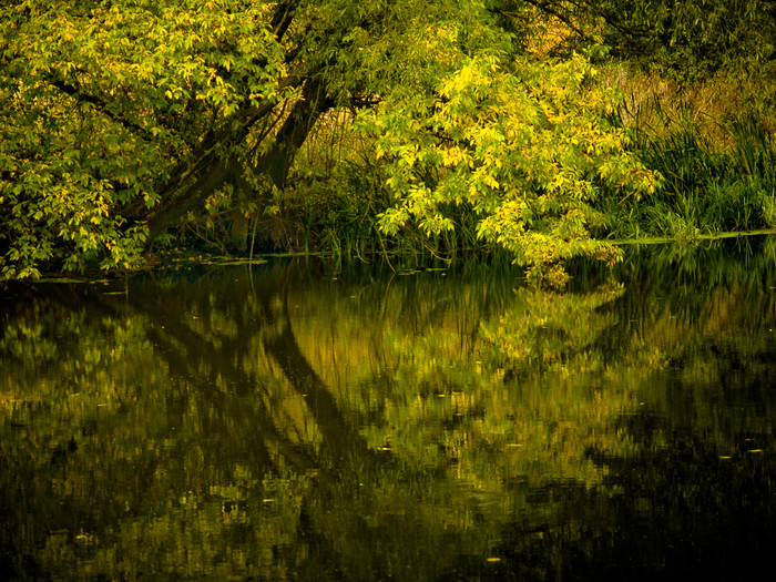 Ukr-river-041.jpg