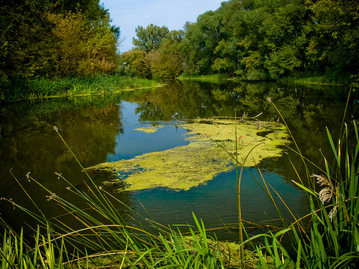 Ukr-river-044.jpg