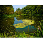 Ukr-river-044.jpg