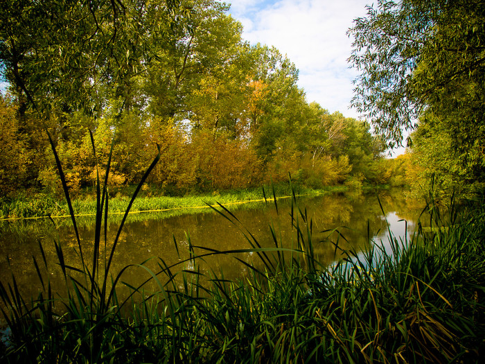 Ukr-river-045.jpg