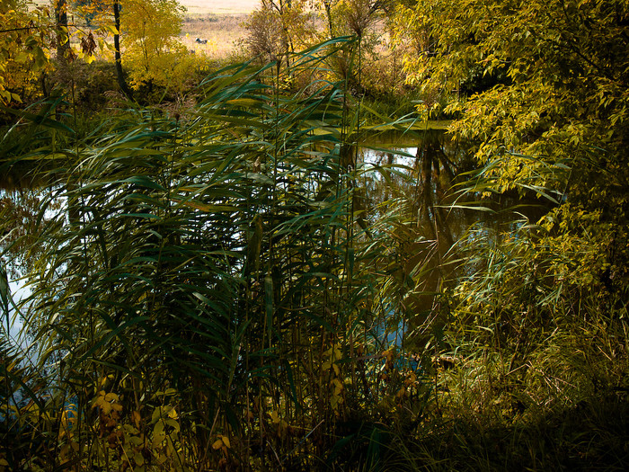 Ukr-river-048.jpg