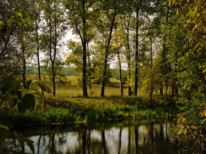 Ukr-river-049.jpg