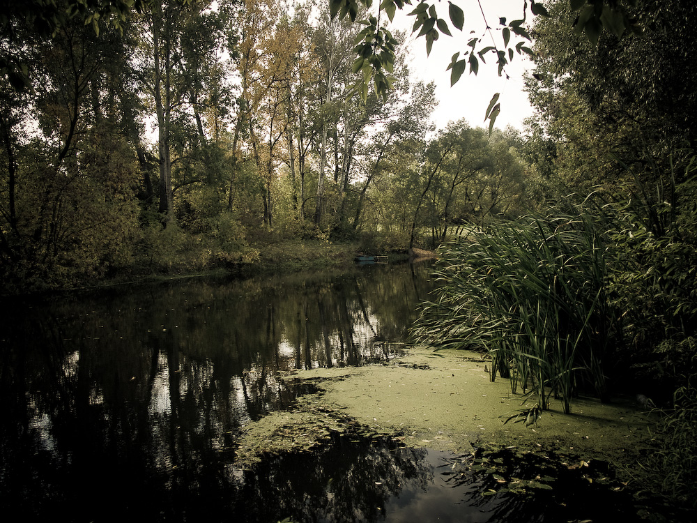 Ukr-river-054.jpg