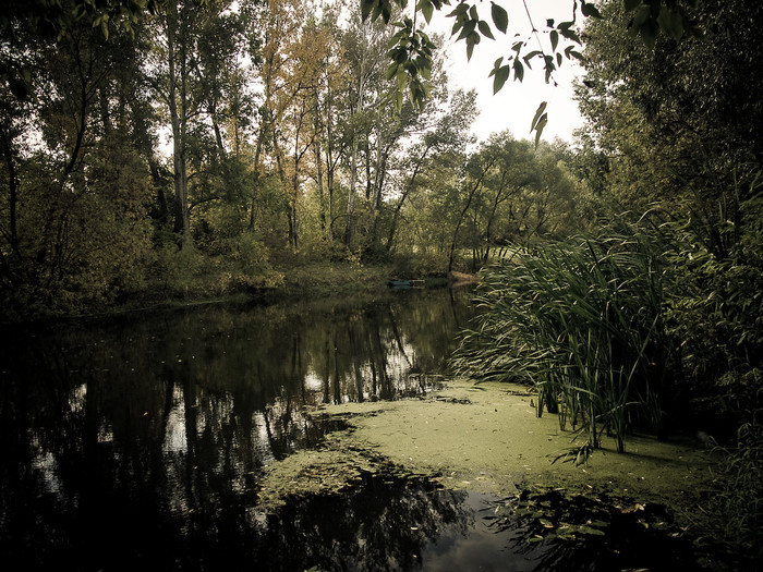 Ukr-river-054.jpg