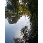 Ukr-river-057.jpg