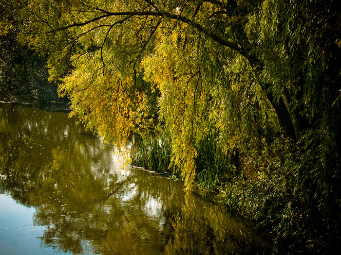 Ukr-river-058.jpg