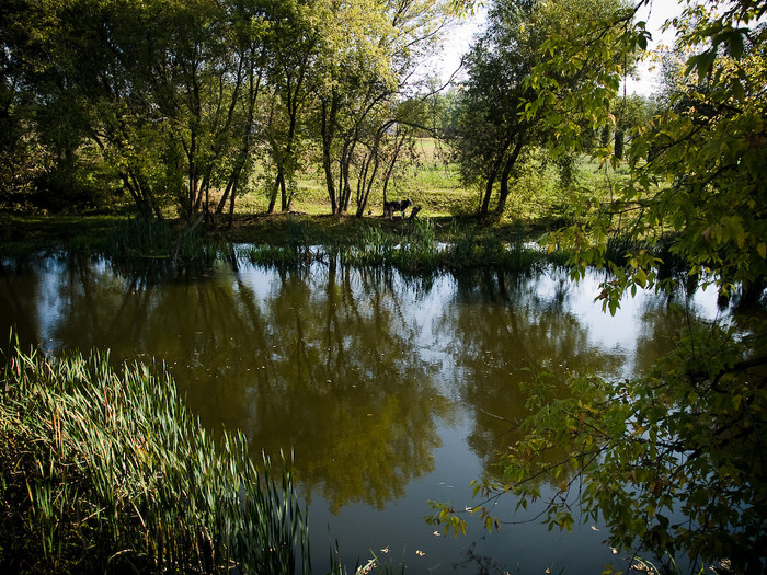Ukr-river-060.jpg