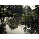 Ukr-river-061.jpg