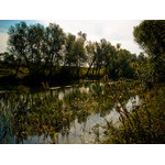 Ukr-river-064.jpg