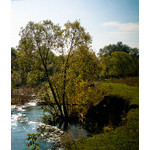 Ukr-river-069.jpg