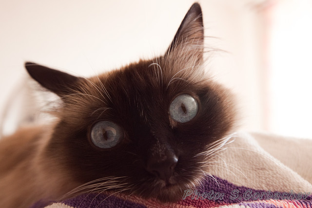 close-up