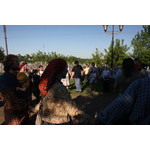 IMG_5586.JPG